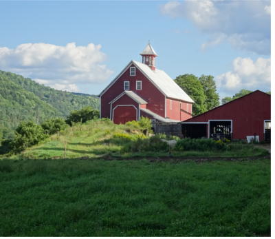 Liberty Hill Farm