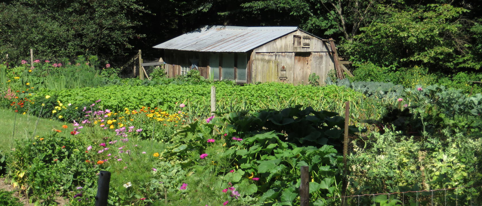 Uphill Farm in Rochester Vermont