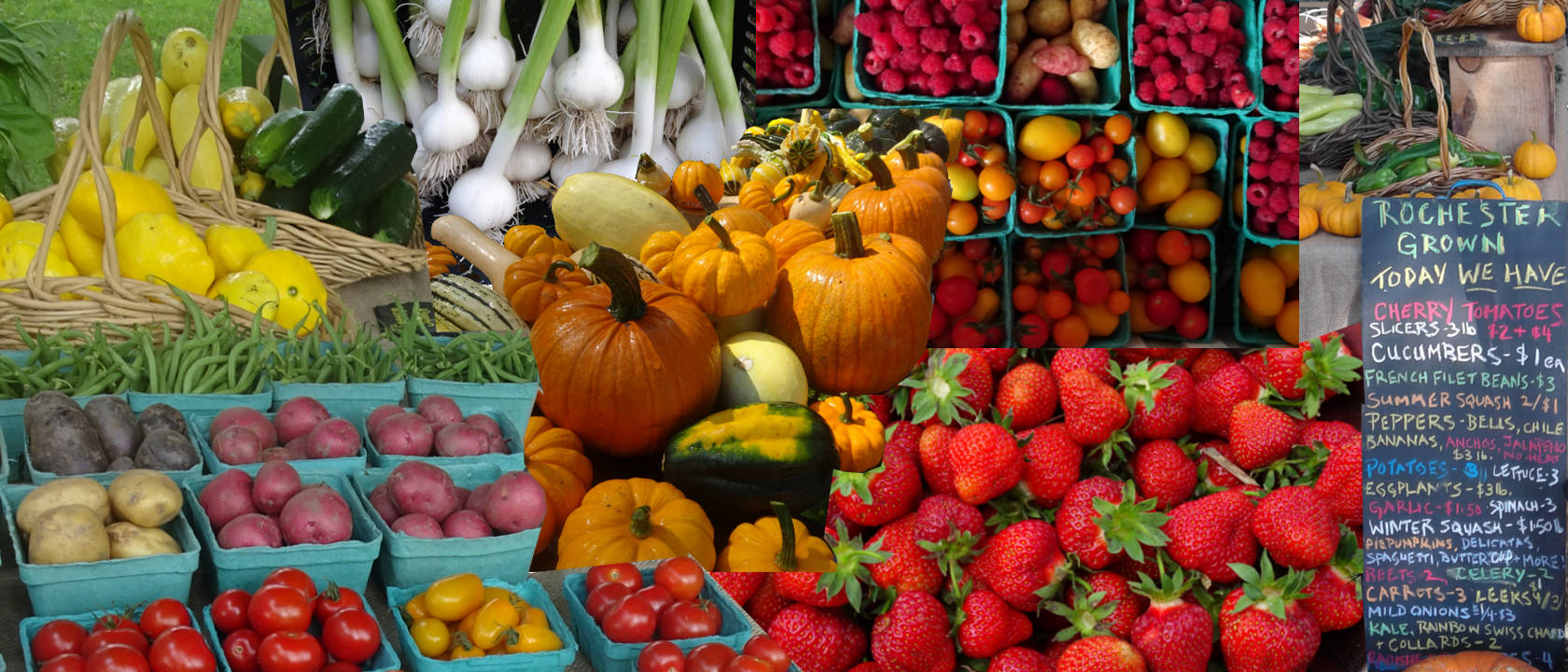 Bountiful produce at Uphill Farm