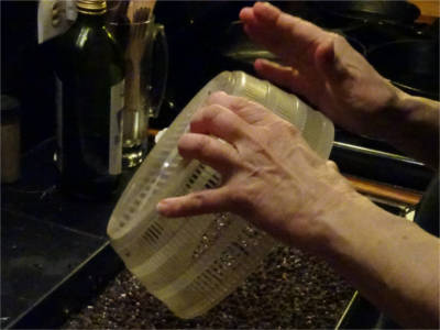 filling tray with dirt
