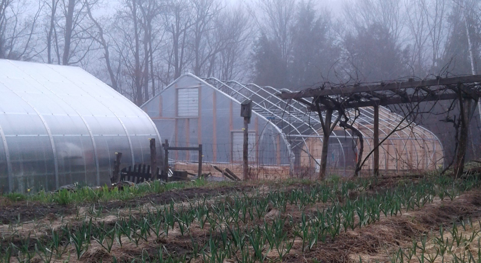 Uphill farm in the morning