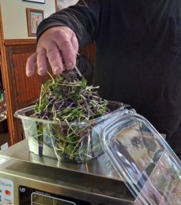 Weighing Microgreens