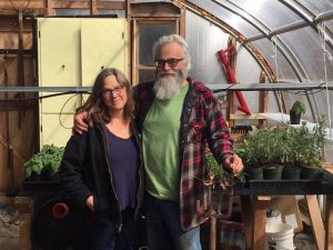 springtime in the greenhouse